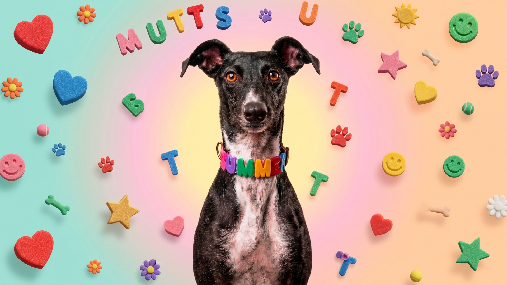 Summer, la perrita de MUTTS, con su collar personalizado de letras